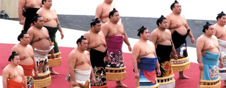 sumo.jpg